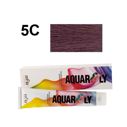 AQUARELY Color IMP 5C farba do wł.100ml popielaty jasny brąz